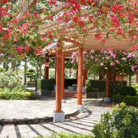 Hoa Viên Bình An năng lượng mặt trời