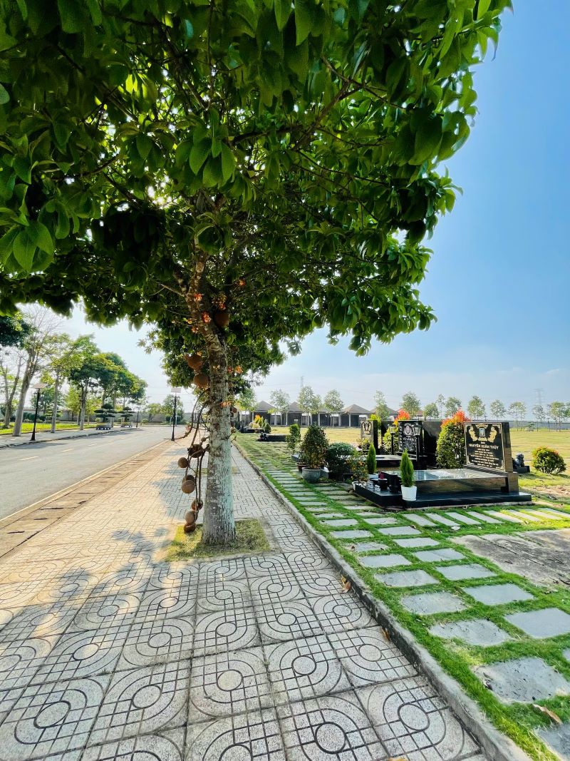 Ưu đãi mộ đôi, mộ gia tộc Bình An