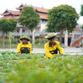 Công viên nghĩa trang sinh thái - Hoa Viên Bình An